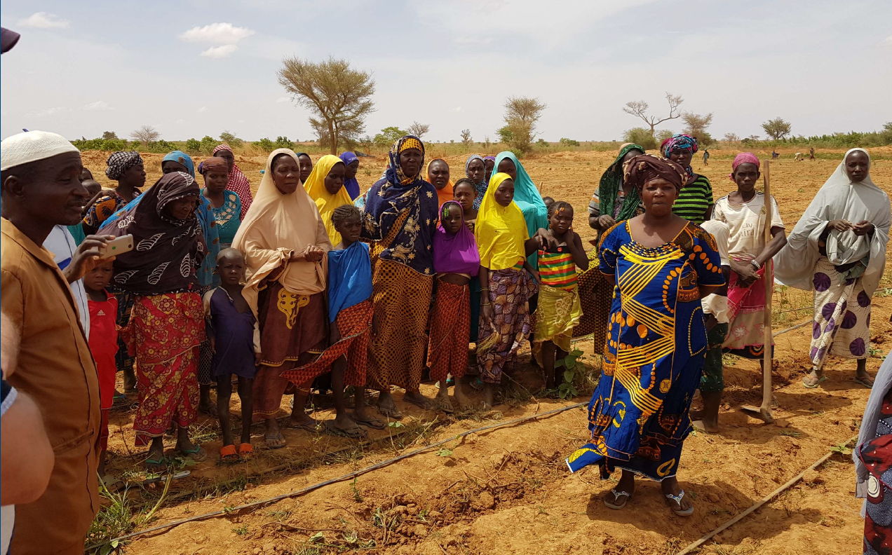 Niger: Fertile Ground for Resilience