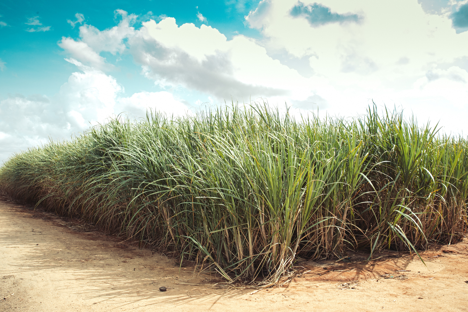 PRECISION IRRIGATION FOR OPEN FIELDS 