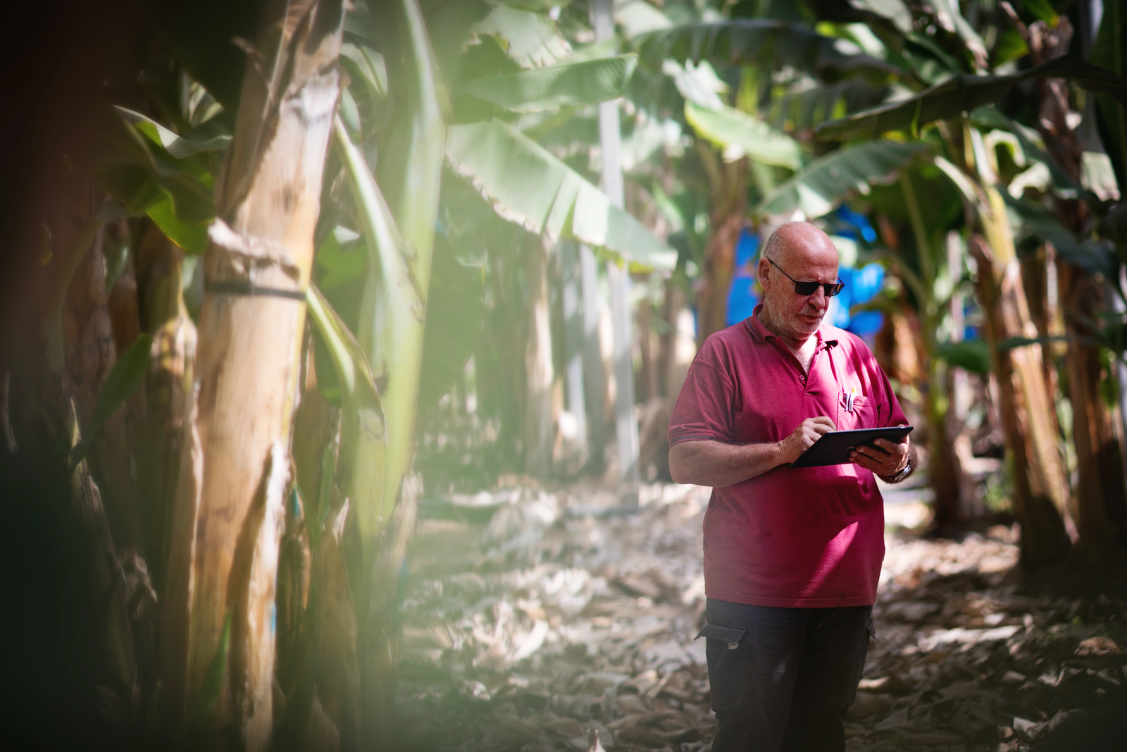 DIGITAL FARMING - ORCHARDS