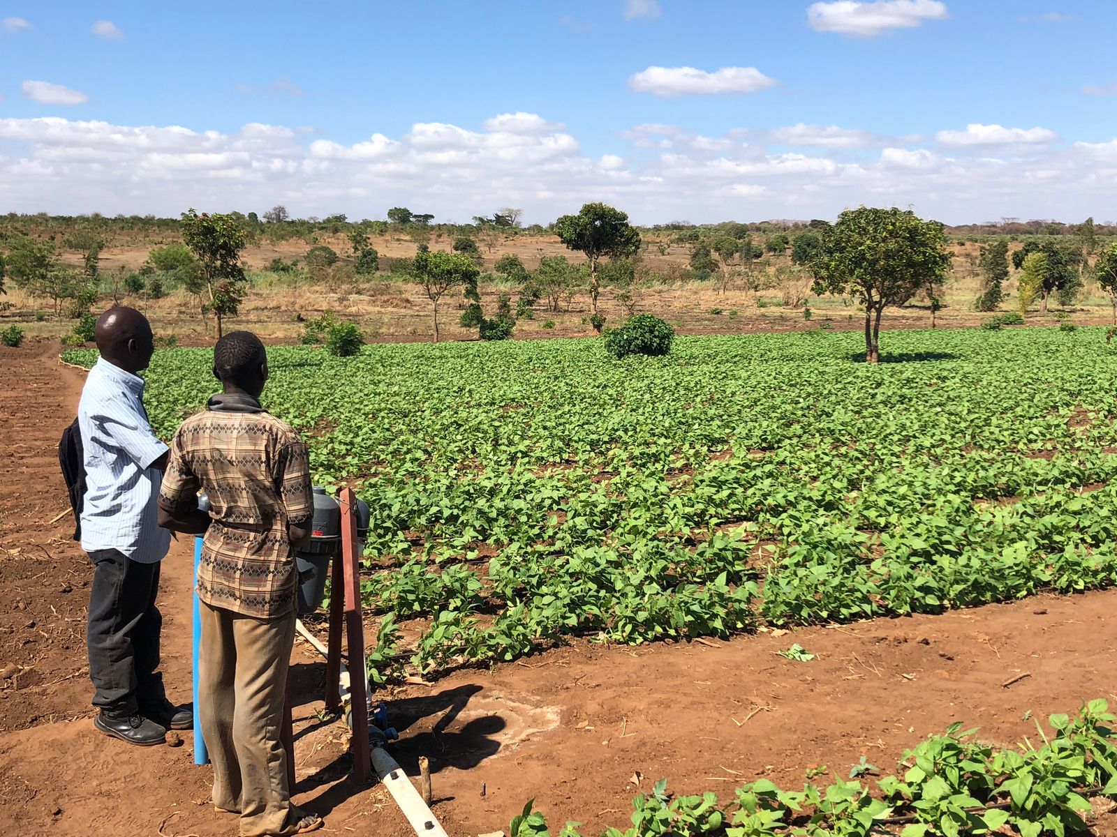Transforming Smallholder’s Agriculture in Malawi with USAID