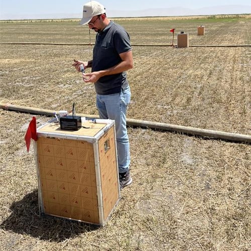 Person in field