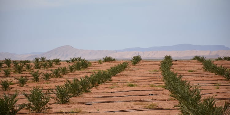 Precision irrigation solutions for orchards