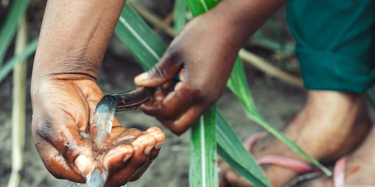Water-use efficiency with precision irrigation