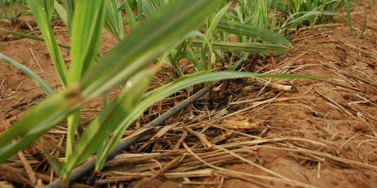 Products and solutions for precision irrigation 