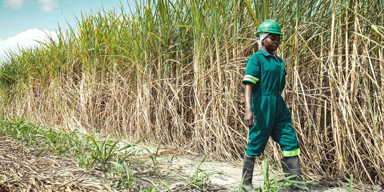 SUSTAINABLE AGRICULTURE & FOOD SECURITY