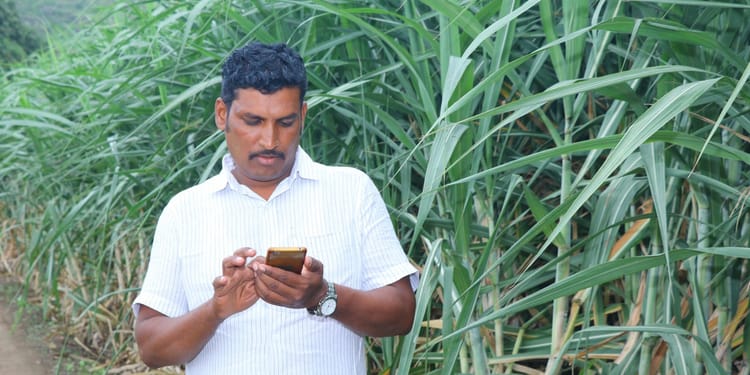 Know more. Grow more