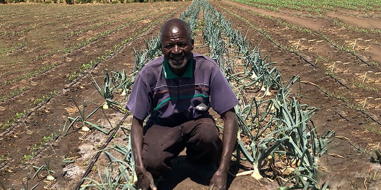 Transforming agriculture in Malawi with USAID