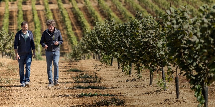 Better, Higher-Yield Crops