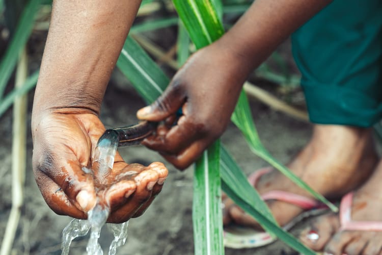 Water-use efficiency with precision irrigation