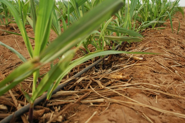 Products and solutions for precision irrigation 