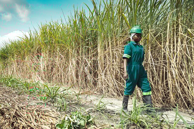 SUSTAINABLE AGRICULTURE & FOOD SECURITY