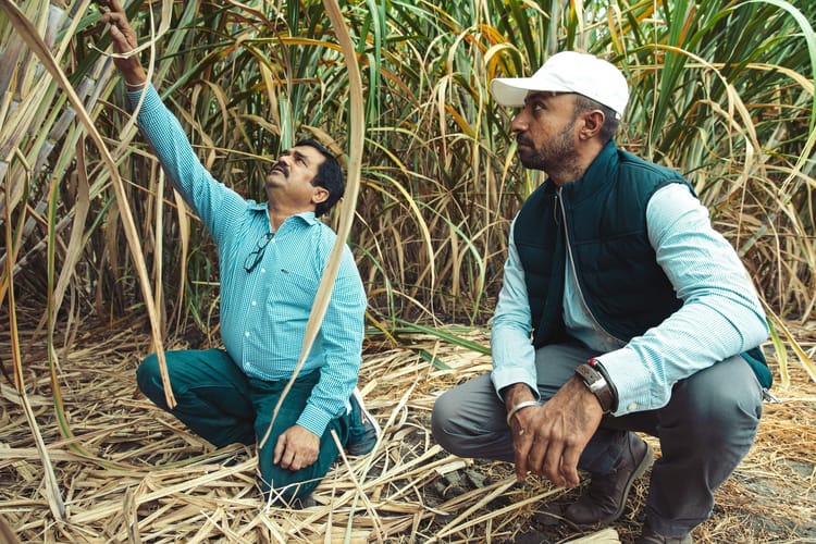 Innovation by farmers, for farmers