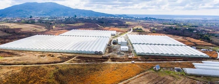 Commercial Greenhouse