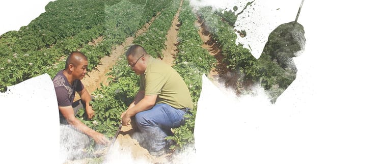 FROM CONCEPT TO COMPLETION