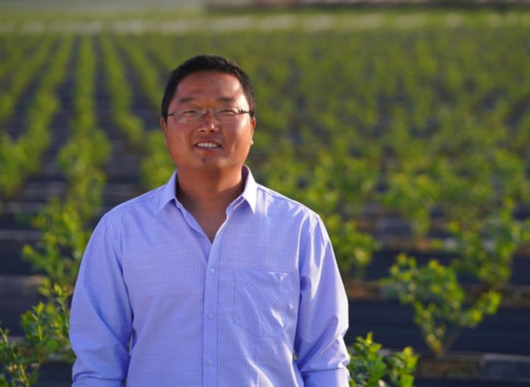 Farmer in China