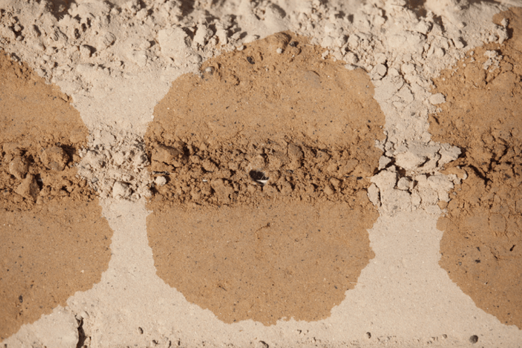 Drip irrigated soil