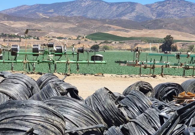 Closing the Loop in Irrigation: How Netafim’s Re-Gen Program Is Redefining Circularity in Agriculture