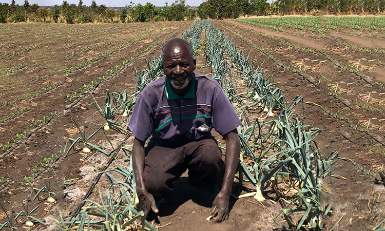 Transforming agriculture in Malawi with USAID
