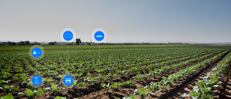 OPTIMIZE YOUR CROPS PRODUCTIVITY WITH NETBEAT™