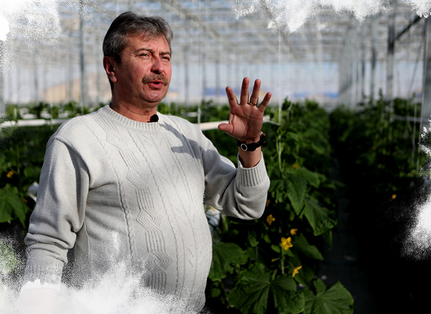 Kazakhstan, Cucumbers and tomatoes